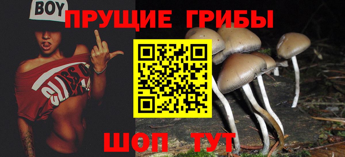 Галлюциногенные грибы Magic Shrooms  Вход с VPN  Орехово-Зуево  Галлюциногенные грибы GOLDEN TEACHER 